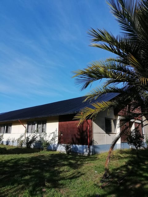Modern single-story house with black roof and white walls, palm tree in front yard, clear blue sky